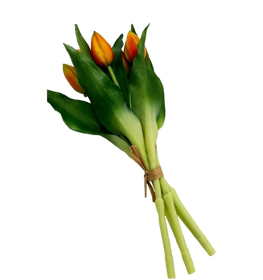 89f8a4385c8f35cad5df500a4ea42c0d 89f8a4385c8f35cad5df500a4ea42c0d